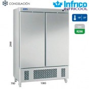 Armario frigorifico IAN1002-N